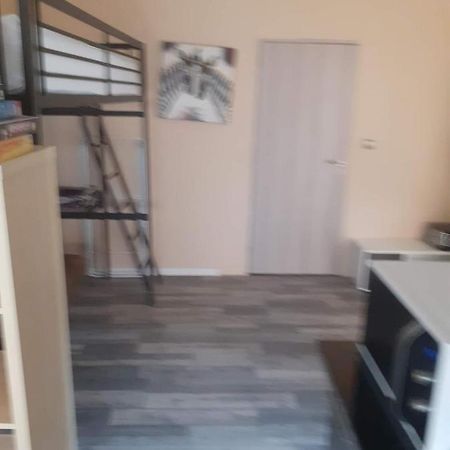 Studio 2 Ou 3 Places Apartment Verdun-sur-le-Doubs Ngoại thất bức ảnh